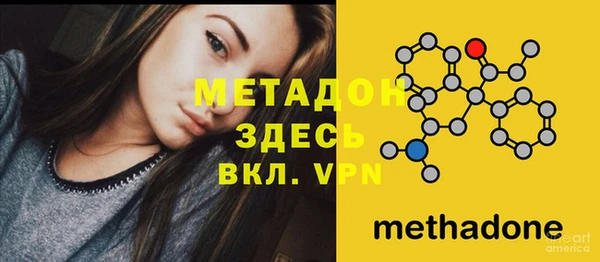 PSILOCYBIN Тутаев