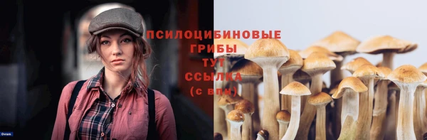 тгк Кодинск