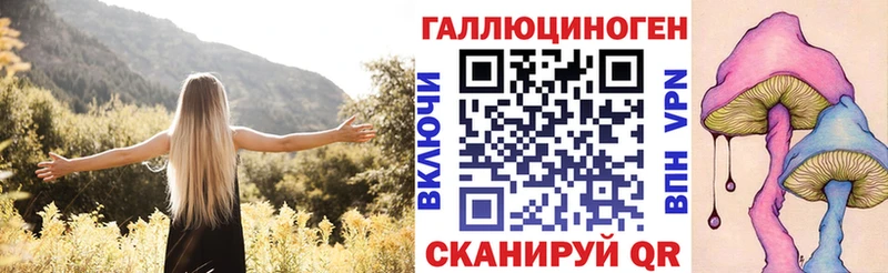Псилоцибиновые грибы Psilocybe  Нолинск 