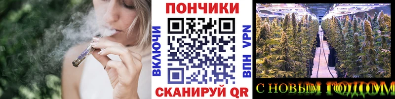 Бошки Шишки семена Нолинск